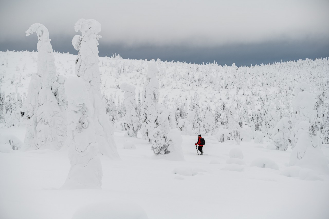 Fotograf inmitten verschneiter Bäume